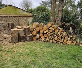 Arbres et Cimes image 3