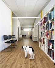 Kleintierpraxis am Bahnhof Bild 7