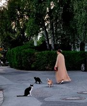 Tierkommunikation-Seelenverständnis Bild 2