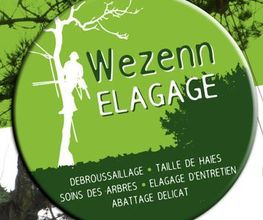 Wezenn Elagage image 2