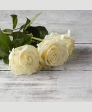 Pompes Funèbres Denoi image 2