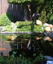 Ferdinand Peun - Gartengestaltung mit Pfiff Bild 1