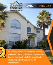 Southeastern Roofing & Construction image 4