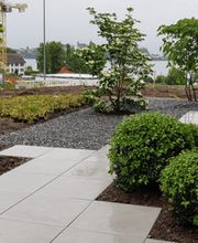 Thomas Kuster Gartenbau & Gartenpflege Bild 2