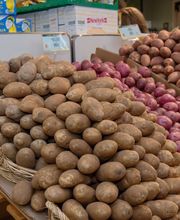 Holiday Farms Supermarket image 12