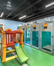 Pet Paradise Pooler image 7