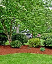 Martin Marius Bild 2