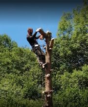 Delange Pere et Fils image 5