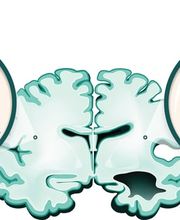 NeurologiePraxis dr. Celik Bild 4