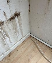SafeHome Schädlingsbekämpfung Köln Bild 12