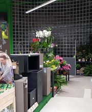 Bricomarché Langoiran image 11