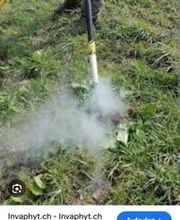 Invaphyt GmbH Bild 5