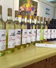 BIOCAVE Marc Güntert Bild 2