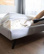 Désinfestation.ch Bild 3