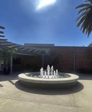 ANYONE Collective - Creative Agency image 12