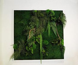 DECO-VEGETALE image 7
