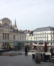 ILS International Language Services image 2