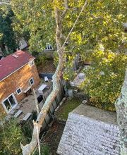 Climbers Tree Care Specialist, Inc. image 3