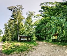 FriedWald Markersdorf Bild 13