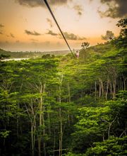 Koloa Zipline image 8