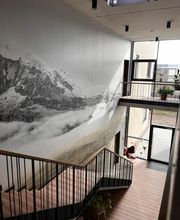 ALPENWAHNSINN Bild 6