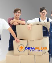 Demplus Services image 3