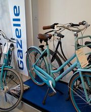 Gazelle