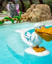 Camping Homair - La Grainetière image 6