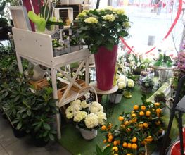 Florilege et harmonie image 16