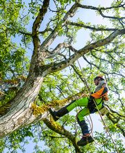 Cyril Bunel Paysages & Espaces Verts image 4