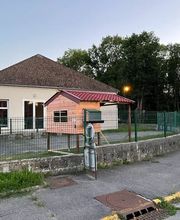 Poule à Dom ECO VERTU SOLUTIONS image 11