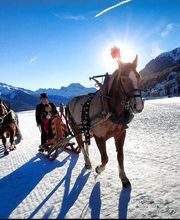 Clalüna-Sils Kutschenfahrten Bild 14