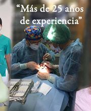 Azoy Dental SLP imagen 7