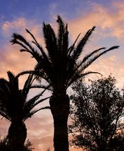 Camping Al Sol image 2