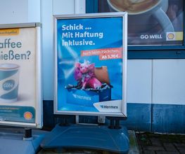 Shell Bild 20