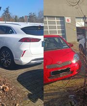 Hecke am baum entfernen.jpg