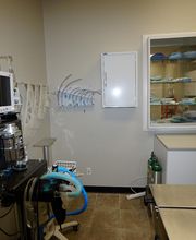Veterinary Clinic of Pearland image 10