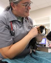 Ridgeview Animal Hospital image 9