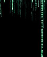 Hoyler Stéphane image 1