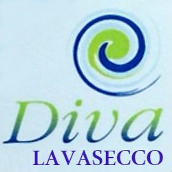 Lavasecco Diva logo
