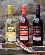 Fleurant Weingut Bretz