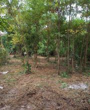 Guerro Elagage image 11