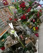 Bricomarché image 8