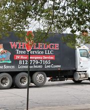 Whitledge Tree Service LLC image 18
