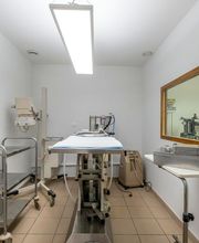 Clinique vétérinaire de Cognac - Sevetys image 9