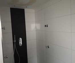 Maler Ryl Bild 4
