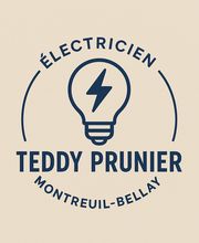Prunier Teddy image 1