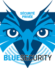 BLUESECURITY image 2