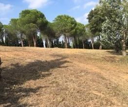 Roussillon Elagage image 5