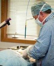 Rockford Veterinary Clinic image 7